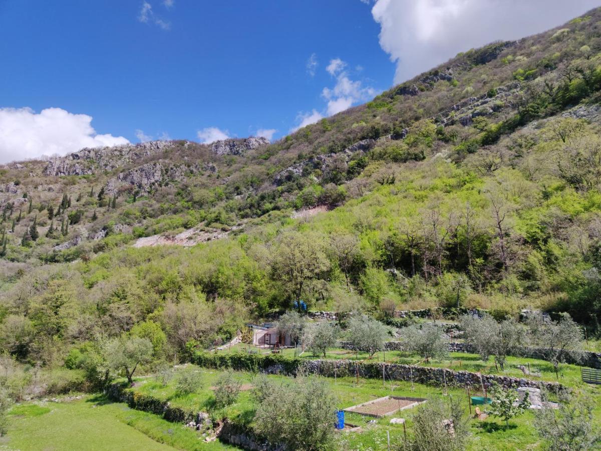 Forest Apartments Kotor Exterior foto