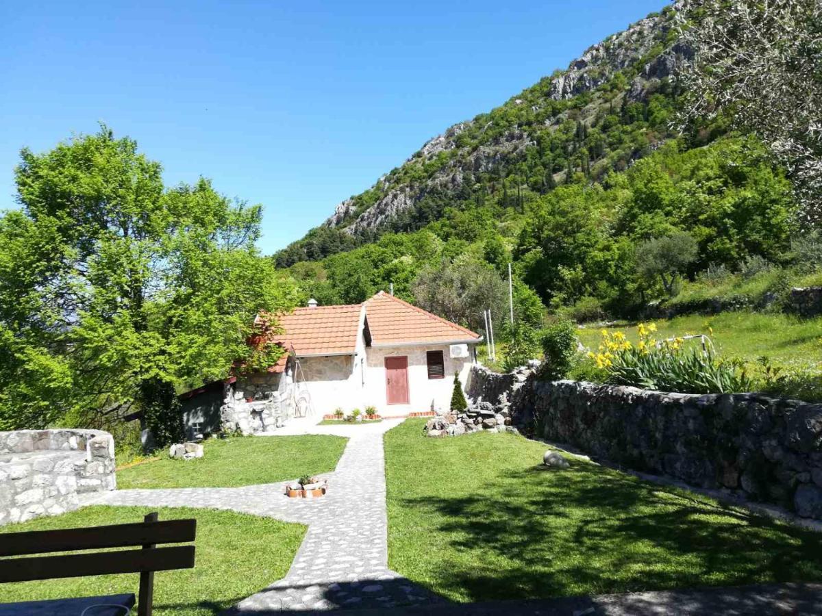 Forest Apartments Kotor Exterior foto